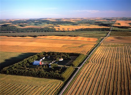 Aerial View of Farmland in Autumn Holland, Manitoba, Canada Stock Photo - Rights-Managed, Code: 700-00053109