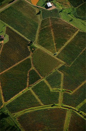 simsearch:700-00050296,k - Aerial View of Vineyards New South Wales, Australia Stock Photo - Rights-Managed, Code: 700-00064705
