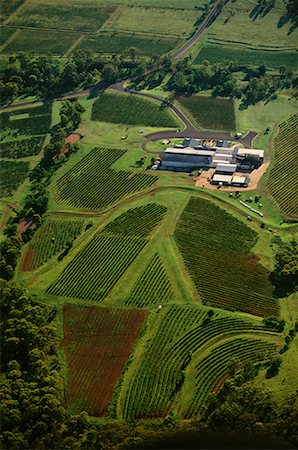 simsearch:700-00050296,k - Aerial View of Vineyards New South Wales, Australia Stock Photo - Rights-Managed, Code: 700-00064706