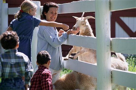 simsearch:700-00073572,k - Mother and Children Feeding Goats through Fence Stock Photo - Rights-Managed, Code: 700-00068022