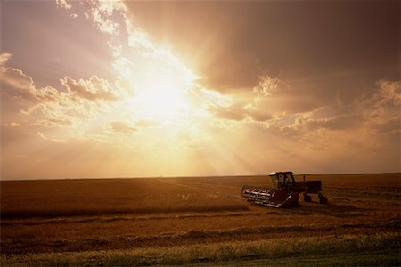 saskatchewan agriculture tractors harvest - Harvesting Wheat at Sunset Saskatchewan, Canada Stock Photo - Rights-Managed, Code: 700-00068546