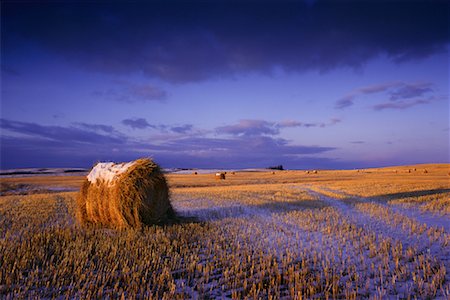 farmland saskatchewan - Light Snow on Field with Hay Bales, Saskatchewan, Canada Stock Photo - Rights-Managed, Code: 700-00068547