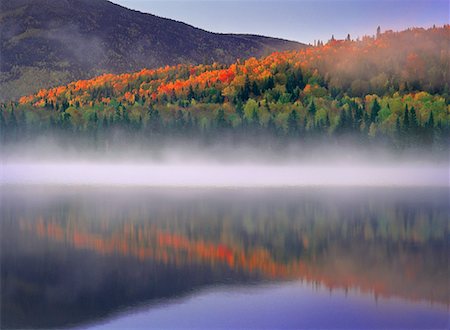 simsearch:700-00182848,k - Overview of Trees and Lake in Autumn, Mount Carleton Provincial Park, New Brunswick, Canada Stock Photo - Rights-Managed, Code: 700-00061087