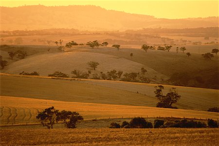 Overview of Farmland at Sunset The Barossa Valley South Australia, Australia Stock Photo - Rights-Managed, Code: 700-00061704