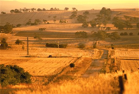 Overview of Farmland at Sunset The Barossa Valley South Australia, Australia Stock Photo - Rights-Managed, Code: 700-00061705