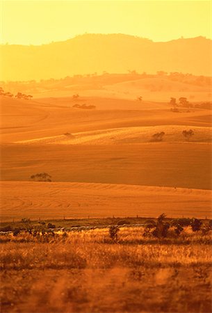 Overview of Farmland at Sunset The Barossa Valley South Australia, Australia Stock Photo - Rights-Managed, Code: 700-00061701
