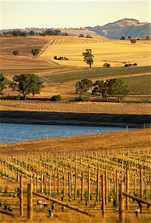 Overview of Farmland The Barossa Valley South Australia, Australia Stock Photo - Rights-Managed, Code: 700-00061724