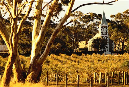 Gnadenberg Church and Henschke Hill of Grace, The Barossa Valley South Australia, Australia Stock Photo - Rights-Managed, Code: 700-00061888