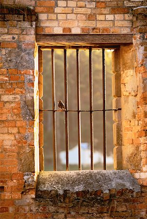 Bird Sitting on Bar in Window Port Arthur Historic Site Tasmania, Australia Stock Photo - Rights-Managed, Code: 700-00062580