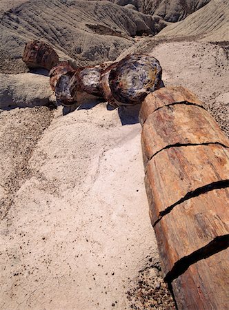 petrified (fossilized) - Petrified Wood Petrified Forest National Park Arizona, USA Stock Photo - Rights-Managed, Code: 700-00074002