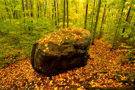 simsearch:600-00062624,k - Boulder in Forest in Autumn Algonquin Provincial Park Ontario, Canada Stock Photo - Rights-Managed, Code: 700-00076772