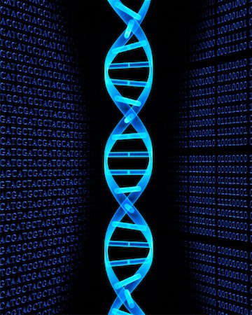simsearch:700-00045838,k - DNA Strand and Binary Code Stock Photo - Rights-Managed, Code: 700-00077413