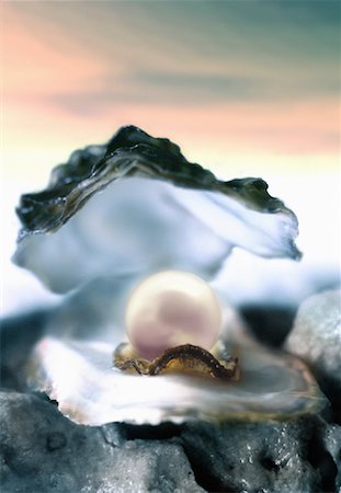 simsearch:700-00023167,k - Close-Up of Oyster with Pearl Stock Photo - Rights-Managed, Code: 700-00079357