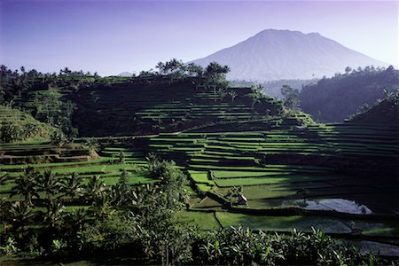 simsearch:700-00057322,k - View of Gunung Agung over Terraced Rice Field Near Rendang, Bali, Indonesia Stock Photo - Rights-Managed, Code: 700-00079468