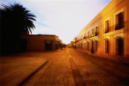 empty mexican street - Palm Trees and Storefronts on Macedonio Alcala Oaxaca, Mexico Stock Photo - Rights-Managed, Code: 700-00070392