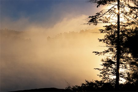 simsearch:700-00549253,k - Silhouette of Trees with Fog At Sunset Haliburton, Ontario, Canada Stock Photo - Rights-Managed, Code: 700-00070646