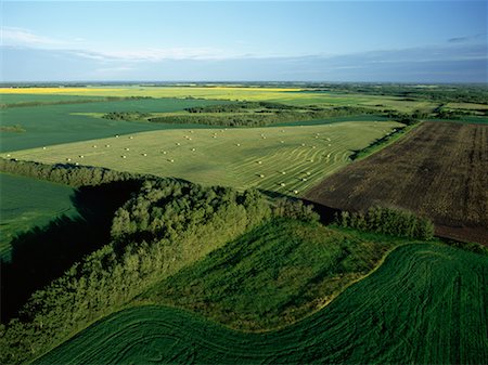 Aerial View of Canola and Alfalfa Fields, near Russell, Manitoba Canada Stock Photo - Rights-Managed, Code: 700-00073165