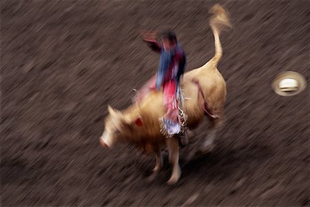 Blurred View of Bull Riding at Calgary Stampede Calgary, Alberta, Canada Stock Photo - Rights-Managed, Code: 700-00073513