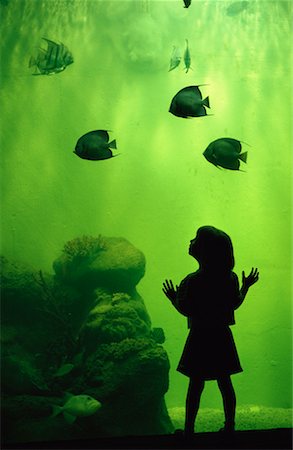 simsearch:700-00035311,k - Vue arrière du jeune fille regardant les poissons dans l'Aquarium Photographie de stock - Rights-Managed, Code: 700-00073765