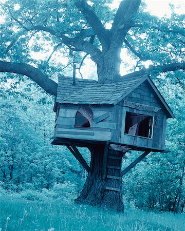 Treehouse Stock Photo - Rights-Managed, Code: 700-00088329