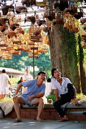 simsearch:700-00166478,k - Men Sitting in Park with Songbirds Tiong Bahru, Singapore Stock Photo - Rights-Managed, Code: 700-00080167