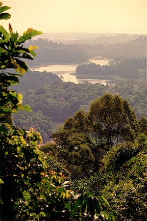 singapore nature scenery - Overview of Landscape from Bukit Timah Hill with Haze Singapore Stock Photo - Rights-Managed, Code: 700-00080236