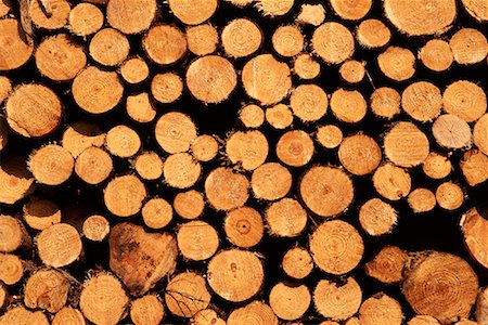 simsearch:700-00361363,k - Cut and Stacked Logs for Pulp And Paper Manufacturing Stock Photo - Rights-Managed, Code: 700-00081169