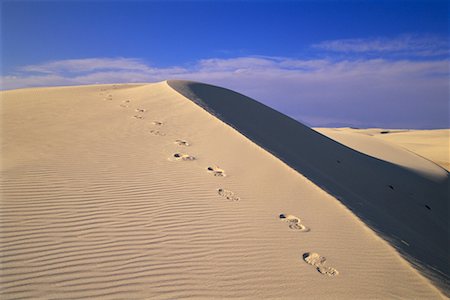 simsearch:862-08091424,k - Footprints on Sand Dune White Sands National Monument New Mexico, USA Stock Photo - Rights-Managed, Code: 700-00082346