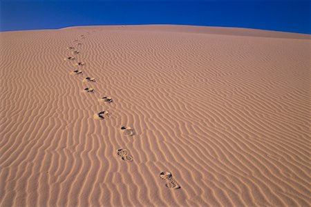 simsearch:862-08091424,k - Footprints on Sand Dune White Sands National Monument New Mexico, USA Stock Photo - Rights-Managed, Code: 700-00082349