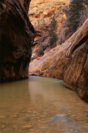 simsearch:700-00073991,k - Virgin River Zion National Park Utah, USA Stock Photo - Rights-Managed, Code: 700-00082797