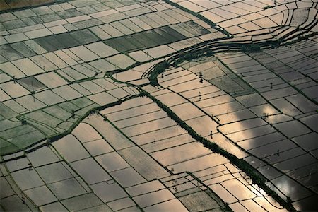 simsearch:700-00057322,k - Aerial View of Rice Fields Bali, Indonesia Stock Photo - Rights-Managed, Code: 700-00083214