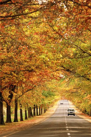 Road in Autumn Stock Photo - Rights-Managed, Code: 700-00090825