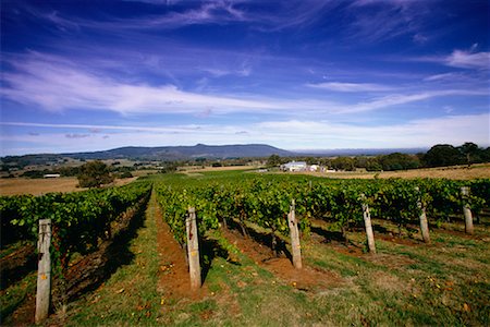 simsearch:700-00050296,k - Hanging Rock Winery, Australia Stock Photo - Rights-Managed, Code: 700-00090832
