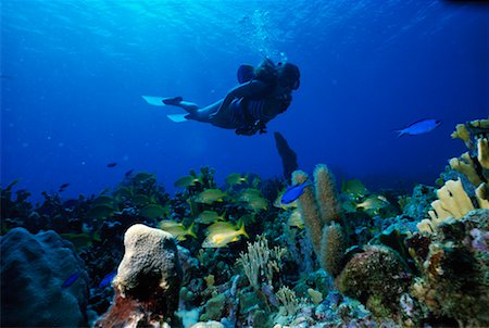 Scuba Diver Stock Photo - Rights-Managed, Code: 700-00093015