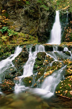 simsearch:700-00182848,k - Waterfalls in Forest Stock Photo - Rights-Managed, Code: 700-00157725