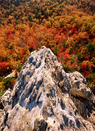 simsearch:700-06465704,k - Hanging Rock, Piedmont, Hanging Rock State Park, North Carolina, USA Stock Photo - Rights-Managed, Code: 700-00157924