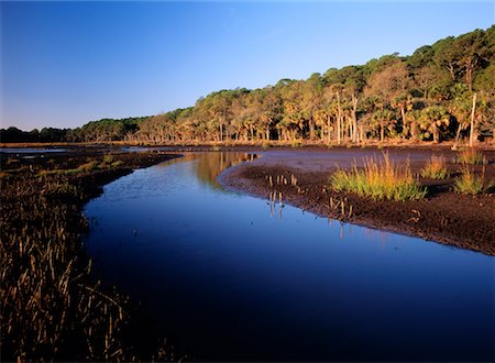 simsearch:700-00157939,k - Salt Water Marsh and Forest, Barrier Island, Hunting Island State Park, South Carolina, USA Stock Photo - Rights-Managed, Code: 700-00157926