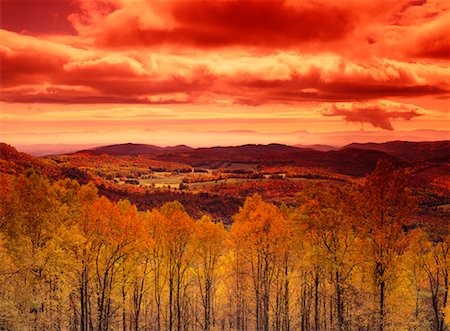 simsearch:700-00157939,k - Overview of Forest in Autumn, Blue Ridge Parkway, Virginia, USA Stock Photo - Rights-Managed, Code: 700-00157947