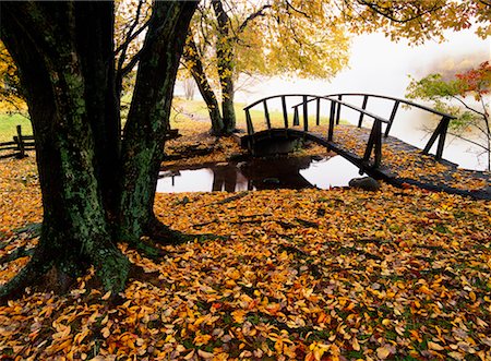 simsearch:700-00157939,k - Wooden Bridge in Autumn, Abbott Lake, Blue Ridge Parkway, Virginia, USA Stock Photo - Rights-Managed, Code: 700-00157956