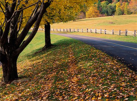 simsearch:700-00157939,k - Country Road in Autumn, Blue Ridge Parkway, Virginia, USA Stock Photo - Rights-Managed, Code: 700-00157950