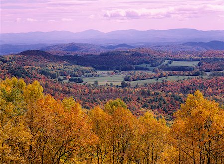 simsearch:700-06465704,k - Overview of Forest in Autumn, Blue Ridge Parkway, Virginia, USA Stock Photo - Rights-Managed, Code: 700-00157951