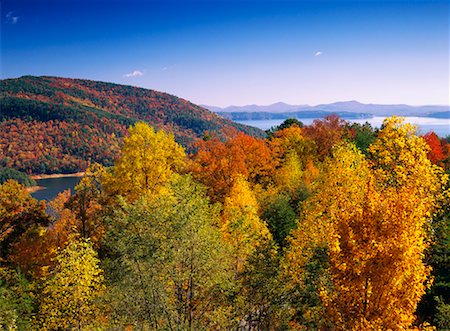 simsearch:700-00157939,k - Overview of Forest in Autumn, Blue Ridge Parkway, Virginia, USA Stock Photo - Rights-Managed, Code: 700-00157952