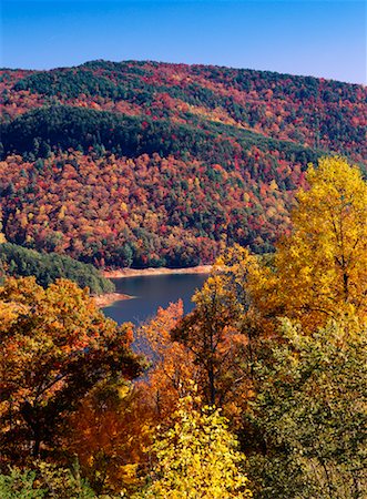 simsearch:700-00157939,k - Overview of Forest in Autumn, Blue Ridge Parkway, Virginia, USA Stock Photo - Rights-Managed, Code: 700-00157953
