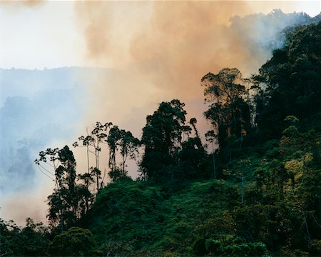 simsearch:700-00023229,k - Fire in Brazillian Rain Forest Foto de stock - Con derechos protegidos, Código: 700-00159512