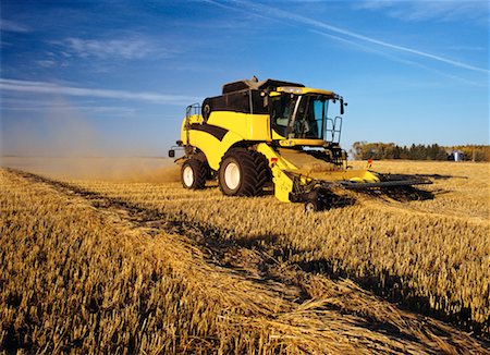 Harvesting Wheat, Shoal Lake, Manitoba, Canada Stock Photo - Rights-Managed, Code: 700-00150181