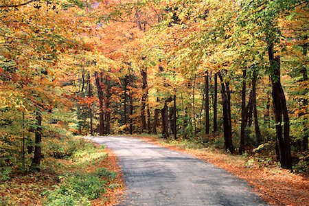 simsearch:700-00157939,k - Country Road in Autumn Stock Photo - Rights-Managed, Code: 700-00153056