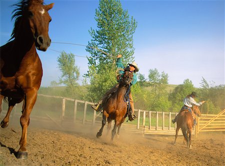 rodeo - Douglas Lake Ranch British Columbia, Canada Stock Photo - Rights-Managed, Code: 700-00161938