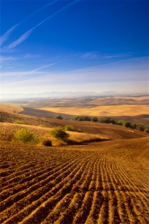 simsearch:700-00515479,k - Farmland Foto de stock - Con derechos protegidos, Código: 700-00162003