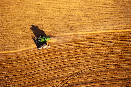 saskatchewan agriculture tractors harvest - Wheat Harvest Stock Photo - Rights-Managed, Code: 700-00162021