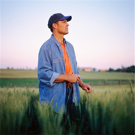 farmer looking into the distance - Man Standing in Field Stock Photo - Rights-Managed, Code: 700-00162037